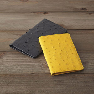 オーストリッチカードケース K91009654